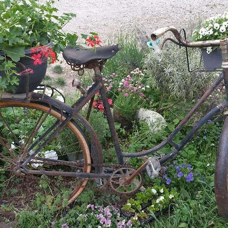 Basse-Cour De Montin Au 256 Chemin De La Rocaille A 38510 Vezeronce Curtin Bed and Breakfast Morestel Εξωτερικό φωτογραφία