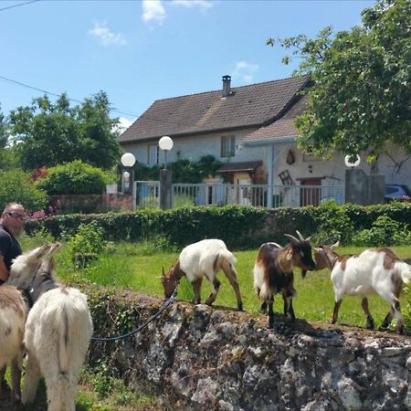 Basse-Cour De Montin Au 256 Chemin De La Rocaille A 38510 Vezeronce Curtin Bed and Breakfast Morestel Εξωτερικό φωτογραφία