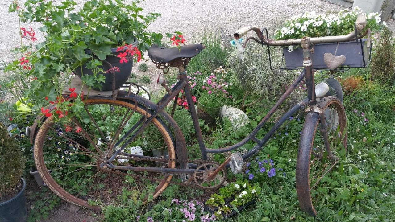 Basse-Cour De Montin Au 256 Chemin De La Rocaille A 38510 Vezeronce Curtin Bed and Breakfast Morestel Εξωτερικό φωτογραφία